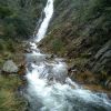 IMG 20210615 WA0078 IMG 20210615 WA0078