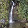 IMG 20210615 WA0082 IMG 20210615 WA0082