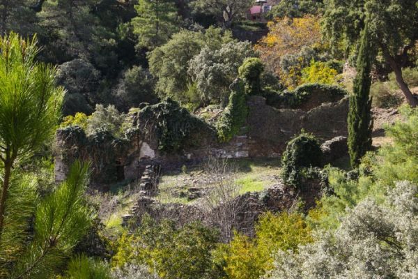 RUINAS DEL CONVENTO  2 