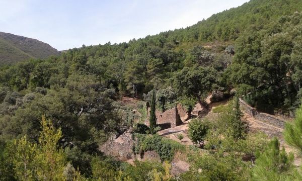 RUINAS DEL CONVENTO